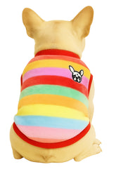 KUTKUT Velvet Fleece Shirt|Stripes Pattern Button Closure Warm Sweatshirt for Small Dogs Cats Boy Girl|Winter Thermal Pullover Clothes for Puppy French Bulldog,Pug etc